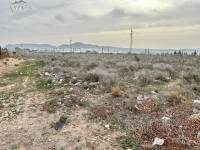 Venta - Plot - Monforte Del Cid - GABARRERA