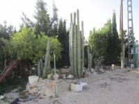 Re-sale - Villa - Elche  - Pussol