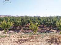 Re-sale - Country house - Hondon De Las Nieves - BAYON