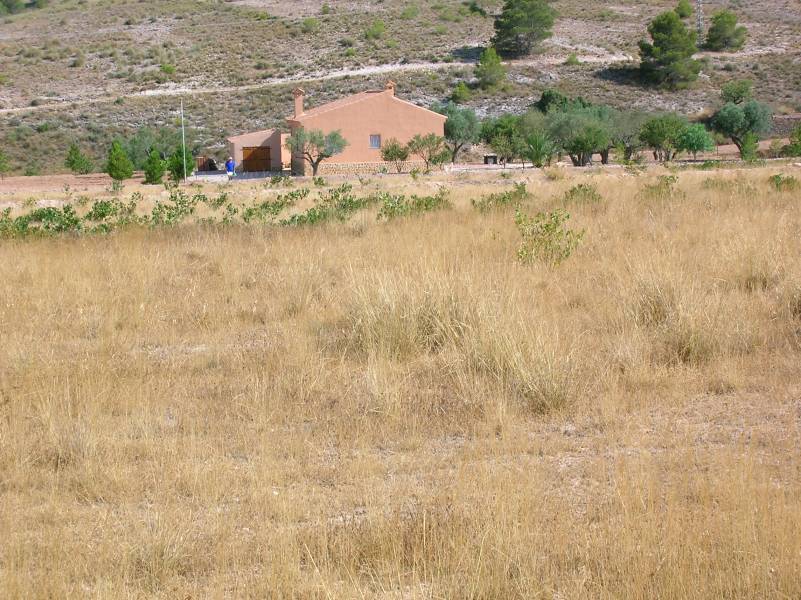 Re-sale - Plot - Hondon De Las Nieves - canalosa