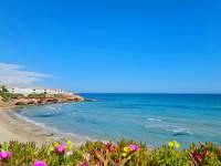 Venta - Apartamento - Playa Flamenca - Alicante