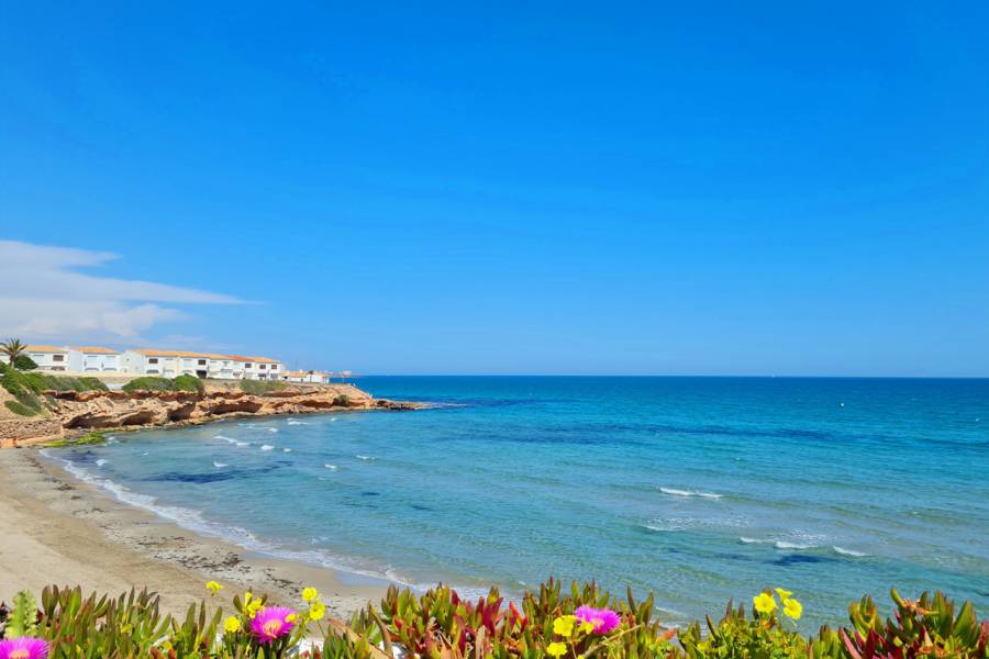 Venta - Apartamento - Playa Flamenca - Alicante