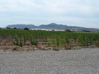 Re-sale - Country house - Monforte Del Cid - GABARRERA