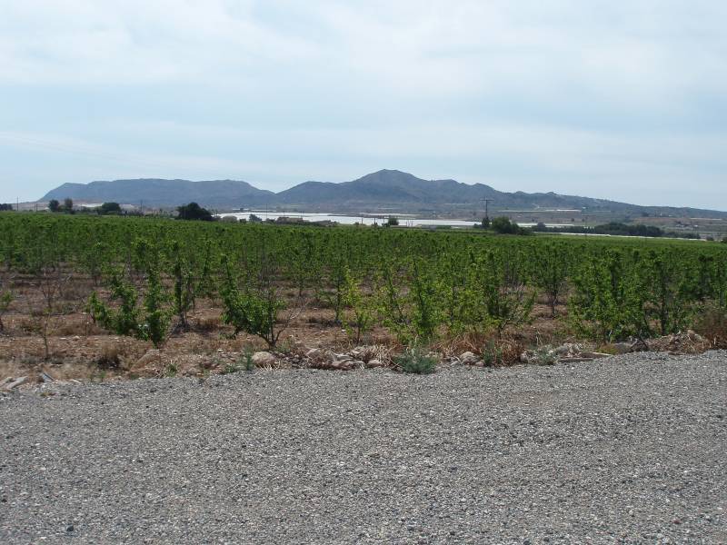 Re-sale - Country house - Monforte Del Cid - GABARRERA