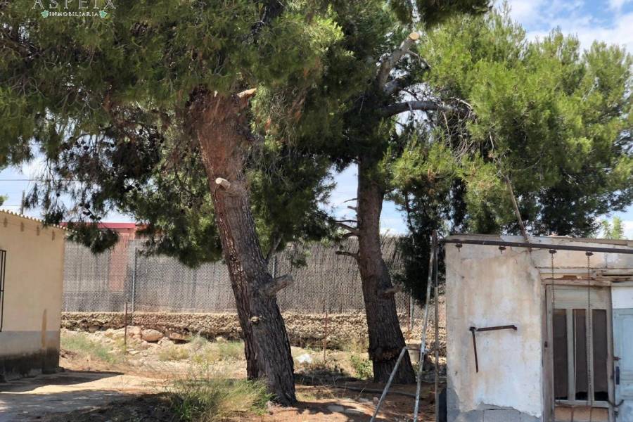 Re-sale - Villa - Elche pedanias - PEÑA LAS AGUILAS