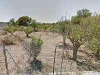 Venta - Plot - Aspe - Las fuentes