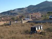 Venta - Plot - Hondon De Los Frailes