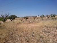 Re-sale - Plot - Hondon De Las Nieves - LA CANALOSA