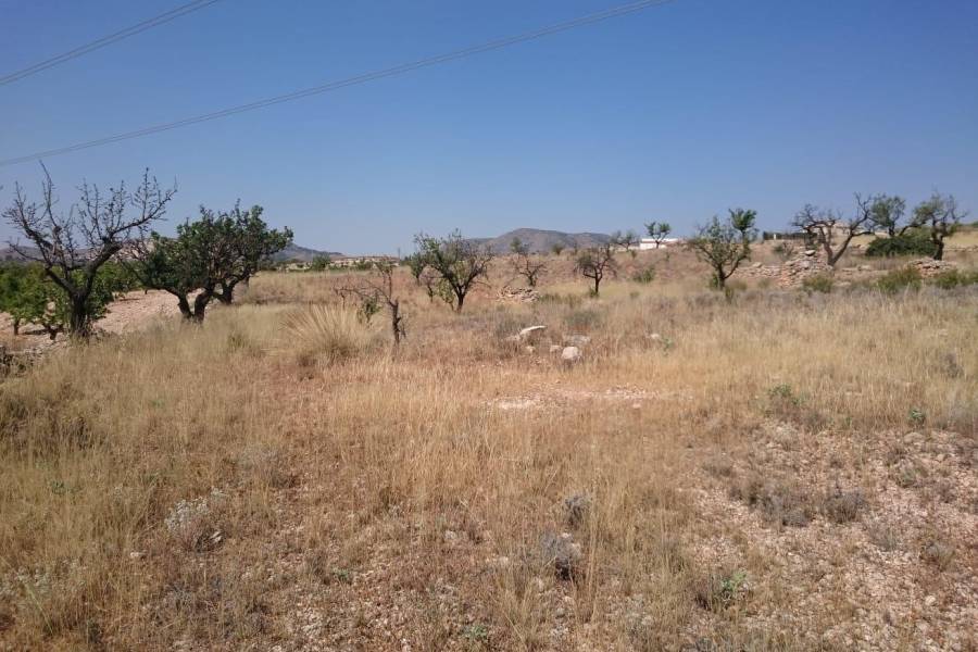 Re-sale - Plot - Hondon De Las Nieves - LA CANALOSA