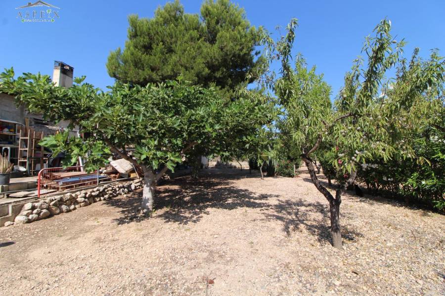 Venta - Casa de campo - Aspe