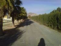 Venta - Casa de campo - Aspe