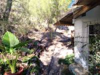 Re-sale - Country house - La Romana - LA ROMANETA