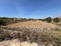 Venta - Plot - Barbarroja