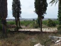 Re-sale - Country house - Monforte Del Cid - GABARRERA