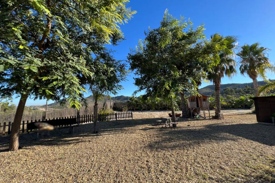 Venta - Casa de campo - Novelda