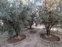 Venta - Casa de campo - Pinoso