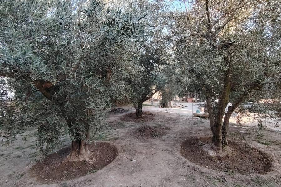 Venta - Casa de campo - Pinoso