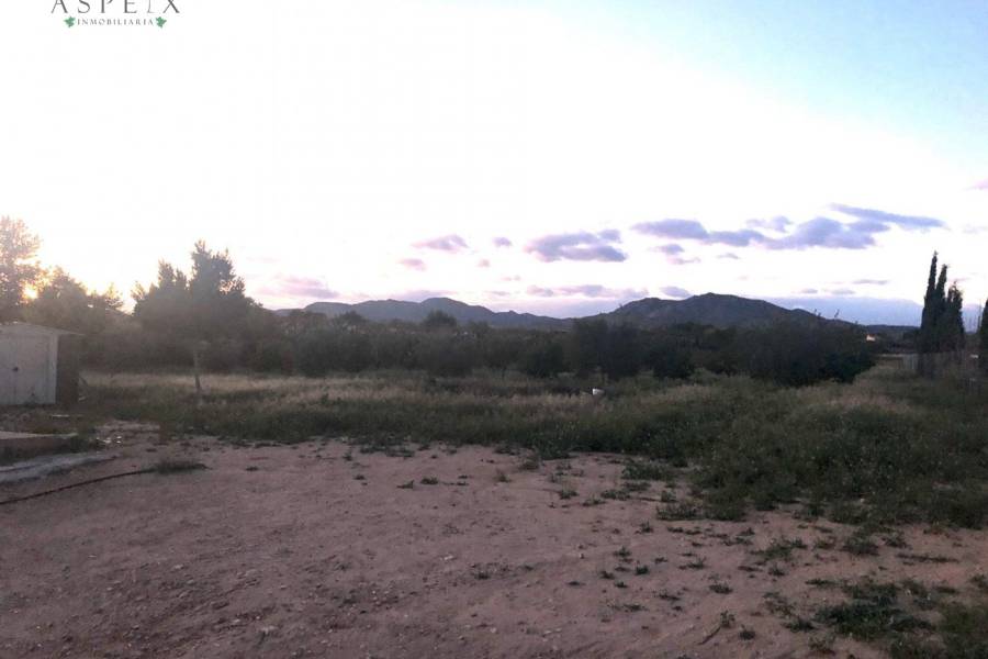 Re-sale -  - Novelda - HORNA BAJA