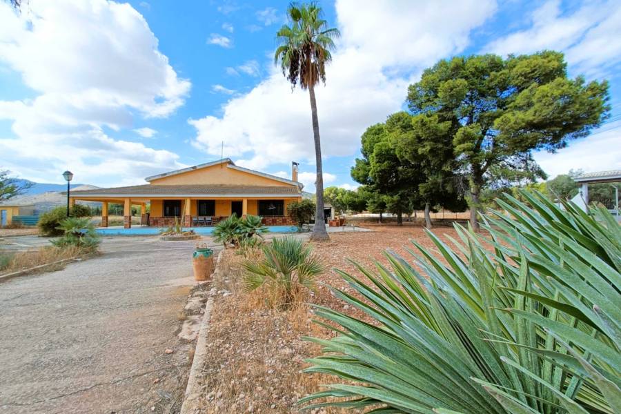 Venta - Casa de campo - Aspe