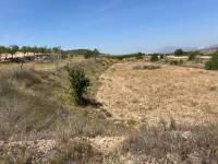 Venta - Plot - Barbarroja