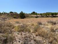 Venta - Plot - Barbarroja