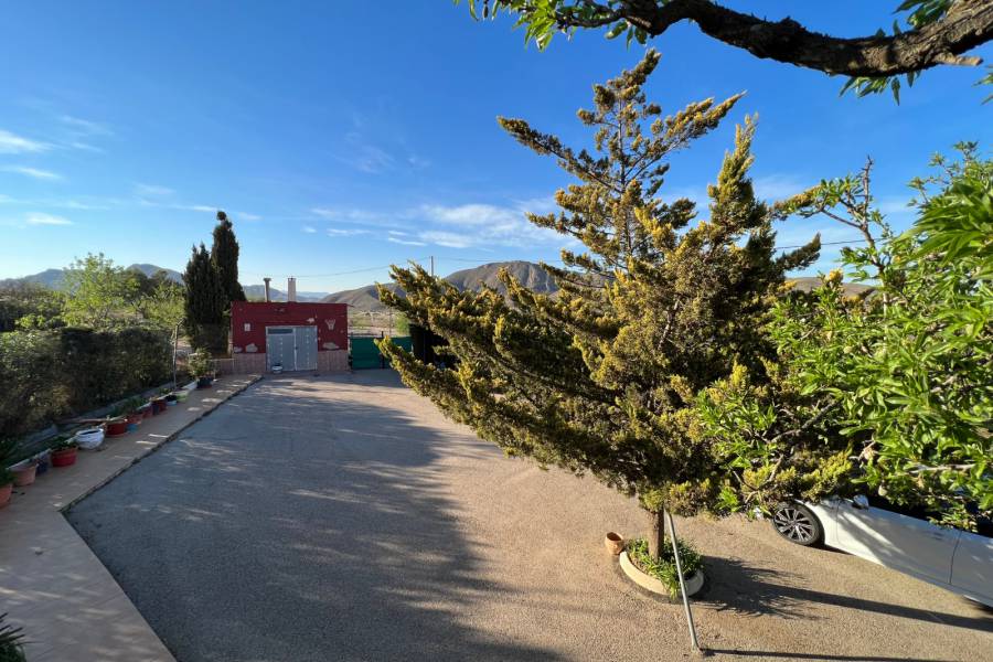 Venta - Casa de campo - Hondon De Los Frailes