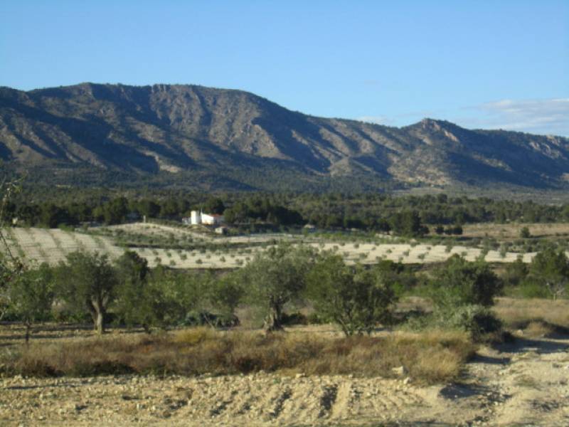 Venta - Chalet - Salinas