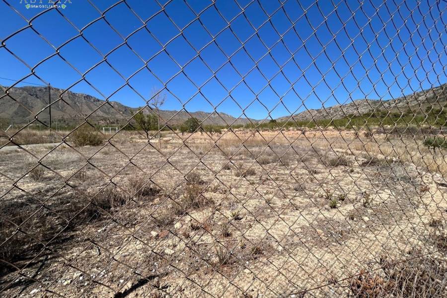 Venta - Casa de campo - Hondon De Los Frailes - BARBAROJA