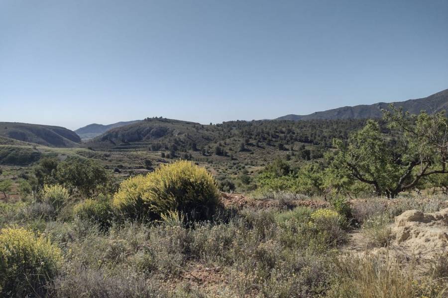 Re-sale - Plot - La Romana - ALGALLAT