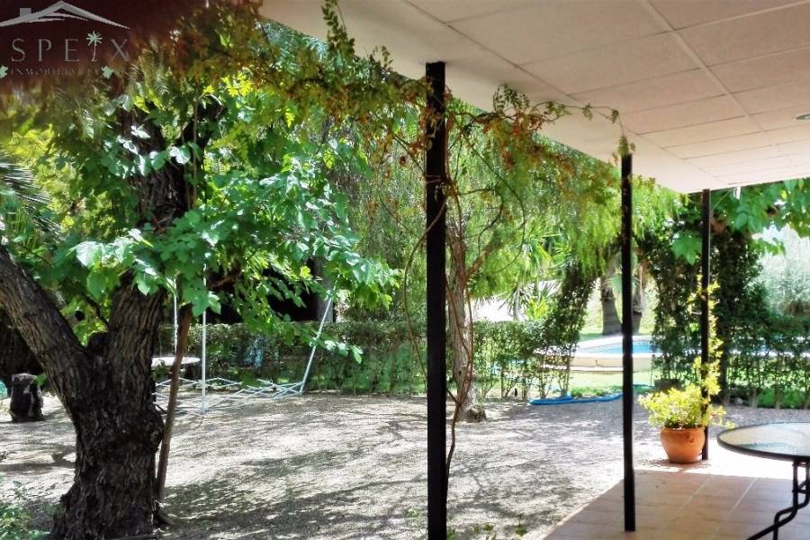 Venta - Chalet - Novelda - CUCUCH