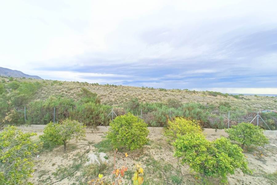 Re-sale - Country house - Albatera - ALBATERA