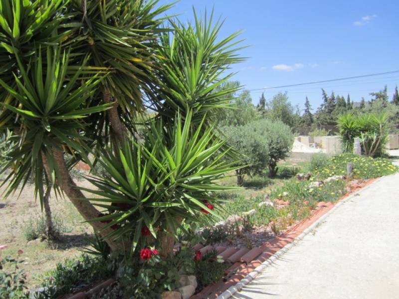 Venta - Chalet - La Romana - ALCANÁ