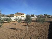 Venta - Casa de campo - Hondon De Los Frailes - CASAS DE GALIANA