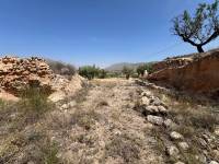 Venta - Plot - Barbarroja