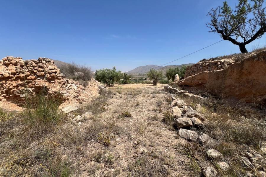 Venta - Plot - Barbarroja