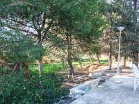 Venta - Chalet - Elche  - BUENOS AIRES