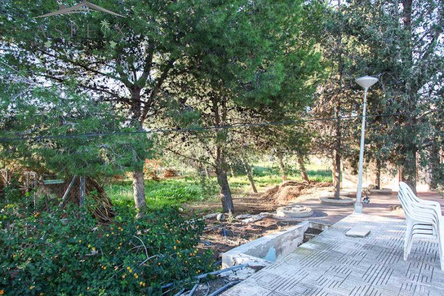 Venta - Chalet - Elche  - BUENOS AIRES