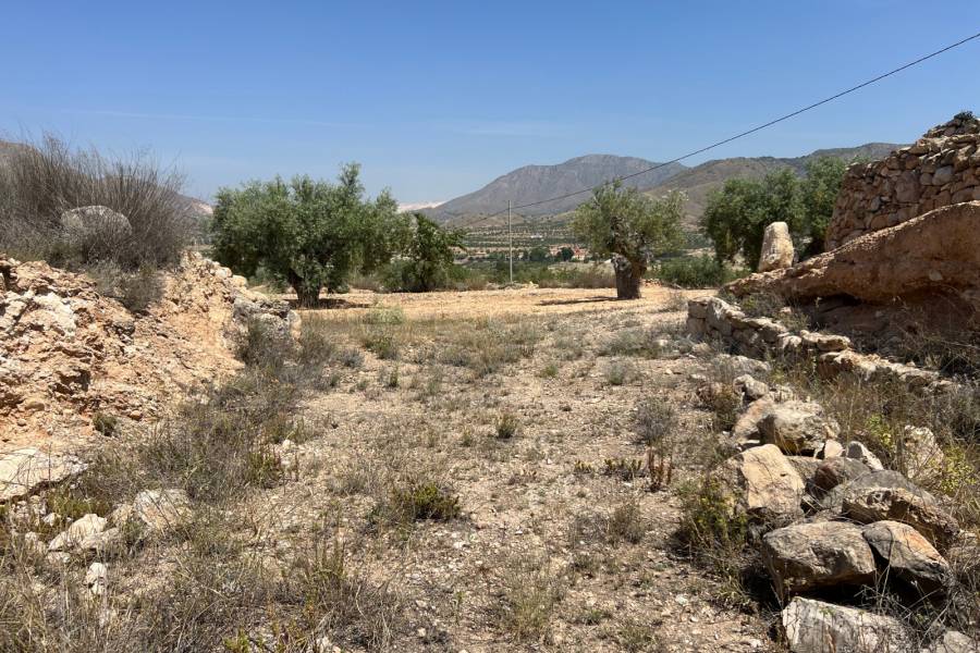 Venta - Plot - Barbarroja