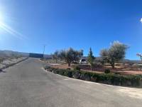 Re-sale - Country house - Petrer - Loma badá