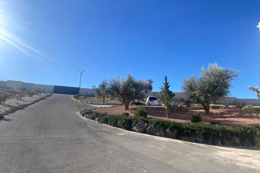 Re-sale - Country house - Petrer - Loma badá