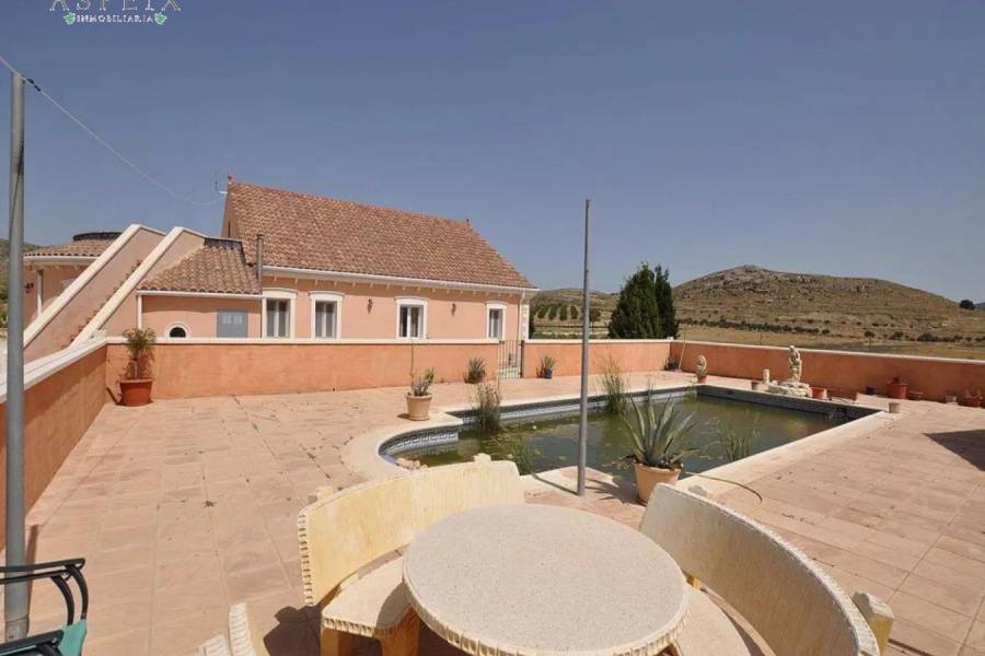 Re-sale - Country house - Pinoso