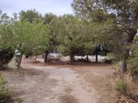 Venta - Casa de campo - Aspe