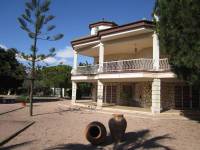Re-sale - Villa - Elche