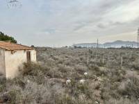 Venta - Plot - Monforte Del Cid - GABARRERA