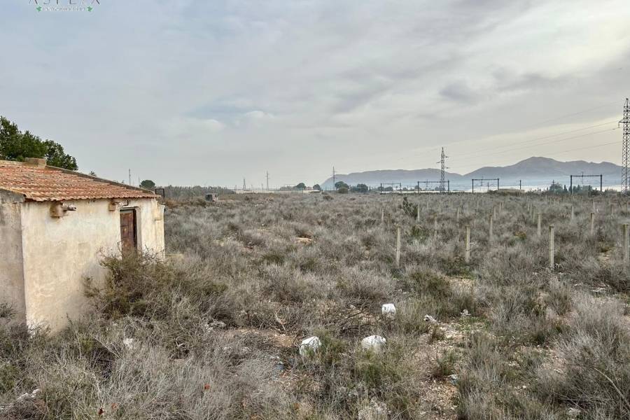 Venta - Plot - Monforte Del Cid - GABARRERA