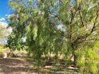 Re-sale - Villa - Hondon De Las Nieves - LA CANALOSA