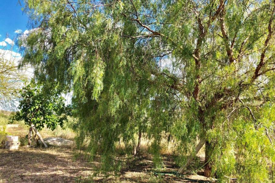 Re-sale - Villa - Hondon De Las Nieves - LA CANALOSA