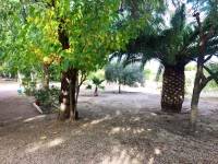 Venta - Chalet - Novelda - CUCUCH