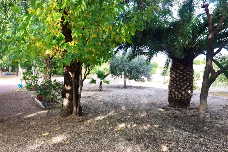 Venta - Chalet - Novelda - CUCUCH