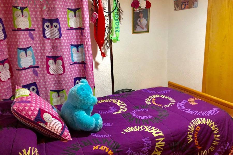 Venta -  - Novelda - JUZGADOS